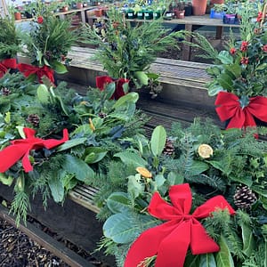 Christmas Wreath - Pre Orders