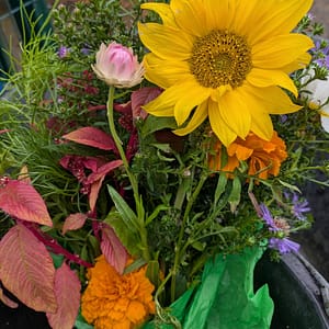 Cut Flowers - Home Grown